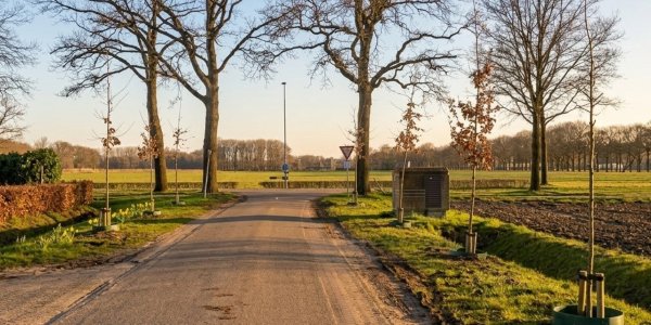 Foto: Cranendonck bloeit op: ruim 900 bomen en enkele kilometers groen erbij