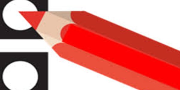 Foto: Lokale partijen mogelijk populair tijdens gemeenteraadsverkiezingen: ook in De Kempen