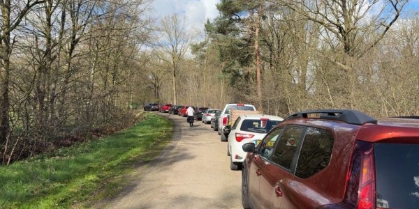 Foto: Aardappelgekte in Hapert door spotprijzen: ‘Ik neem 200 kilo mee’